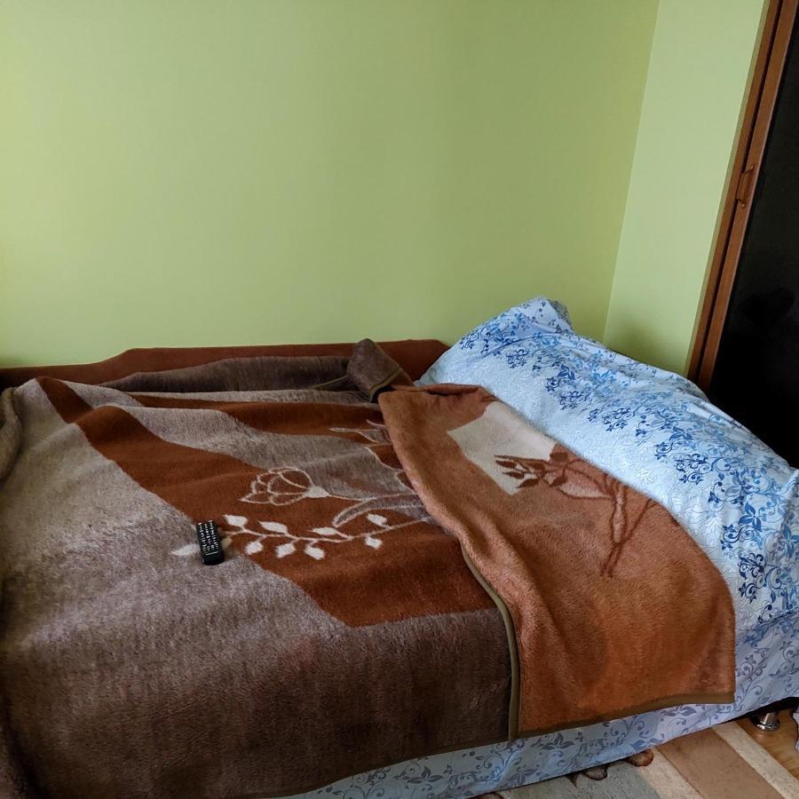 Fely Room Petrosani Bagian luar foto