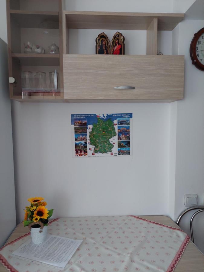 Fely Room Petrosani Bagian luar foto