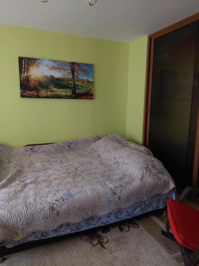 Fely Room Petrosani Bagian luar foto